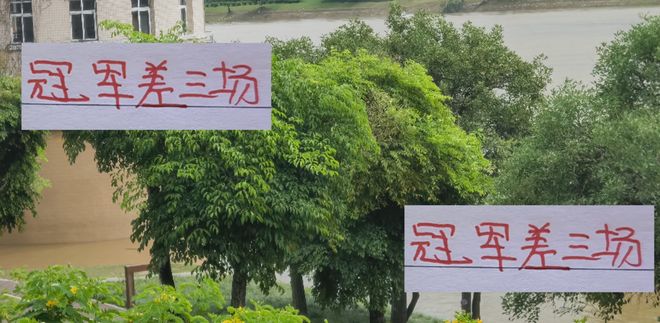 离冠军就差3场！成都也是在亚冠留力 就是打青岛西海岸